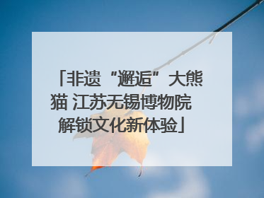 非遗“邂逅”大熊猫 江苏无锡博物院解锁文化新体验