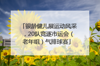银龄健儿展运动风采，20队竞逐市运会（老年组）气排球赛