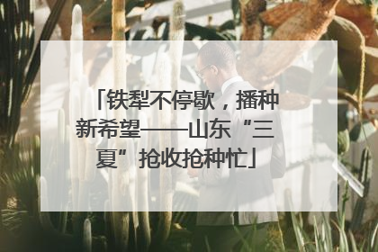 铁犁不停歇，播种新希望——山东“三夏”抢收抢种忙