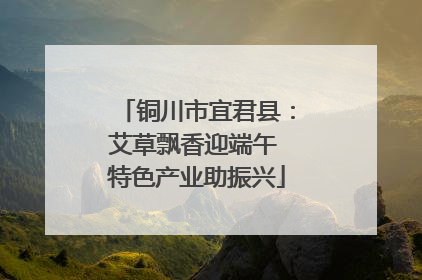 铜川市宜君县：艾草飘香迎端午 特色产业助振兴
