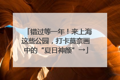 错过等一年！来上海这些公园，打卡莫奈画中的“夏日神颜”→
