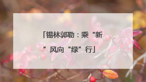锡林郭勒：乘“新”风向“绿”行