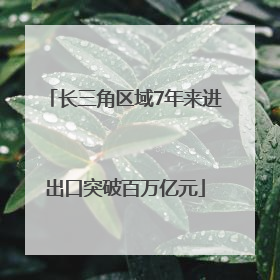 长三角区域7年来进出口突破百万亿元