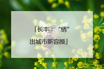 长丰：“绣”出城市新容颜