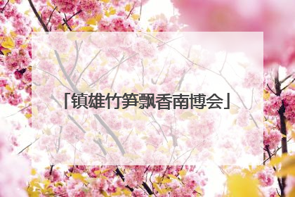 镇雄竹笋飘香南博会