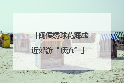 闽侯绣球花海成近郊游“顶流”
