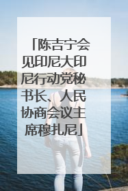 陈吉宁会见印尼大印尼行动党秘书长、人民协商会议主席穆扎尼