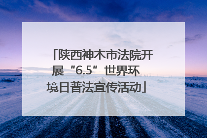 陕西神木市法院开展“6.5”世界环境日普法宣传活动