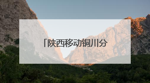 陕西移动铜川分公司：以“陕耀”党建品牌为引擎 绘就文明单位创建新画卷——全国文明单位创建纪实