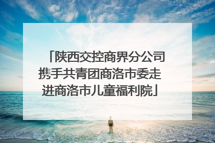 陕西交控商界分公司携手共青团商洛市委走进商洛市儿童福利院