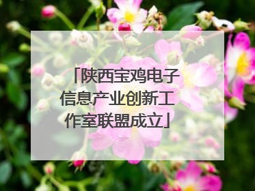 陕西宝鸡电子信息产业创新工作室联盟成立