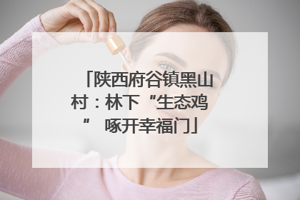 陕西府谷镇黑山村：林下“生态鸡” 啄开幸福门