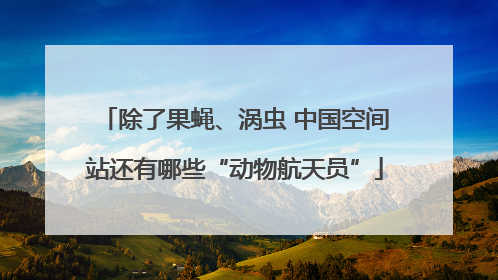 除了果蝇、涡虫 中国空间站还有哪些“动物航天员”