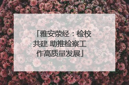 雅安荥经：检校共建 助推检察工作高质量发展