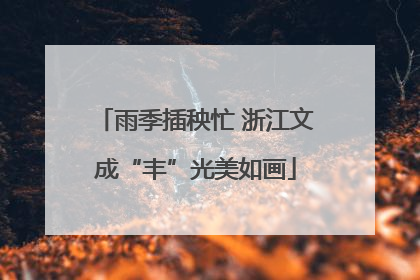 雨季插秧忙 浙江文成“丰”光美如画