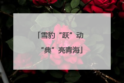 雪豹“跃”动 “典”亮青海