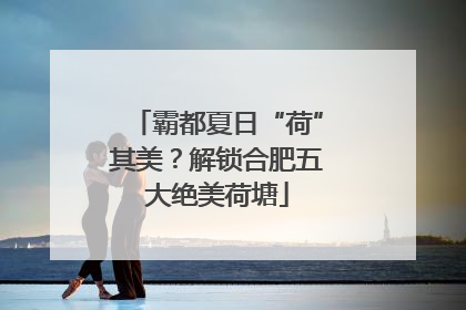 霸都夏日“荷”其美？解锁合肥五大绝美荷塘