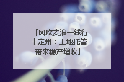风吹麦浪一线行丨定州：土地托管带来稳产增收