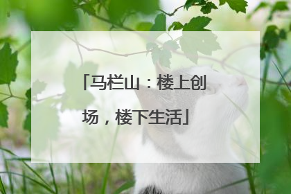 马栏山：楼上创场，楼下生活