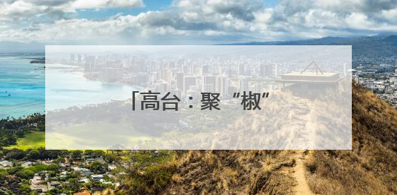 高台：聚“椒”产业促振兴 增收致富“辣”劲足