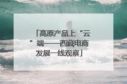 高原产品上“云”端——西藏电商发展一线观察