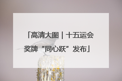 高清大图｜十五运会奖牌“同心跃”发布