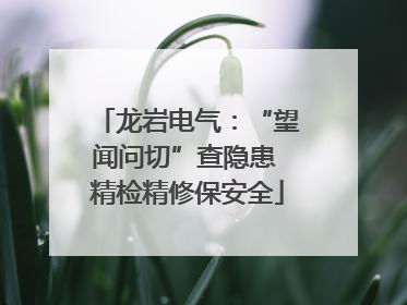龙岩电气：“望闻问切”查隐患 精检精修保安全