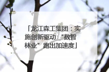 龙江森工集团：实施创新驱动 “数智林业”跑出加速度
