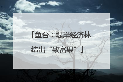 鱼台：堤岸经济林结出“致富果”