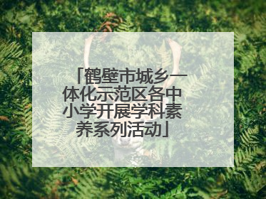 鹤壁市城乡一体化示范区各中小学开展学科素养系列活动