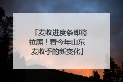 麦收进度条即将拉满！看今年山东麦收季的新变化