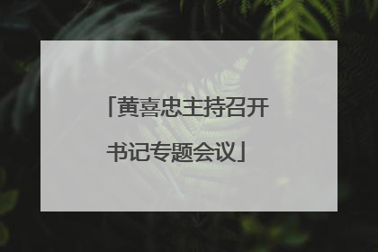 黄喜忠主持召开书记专题会议