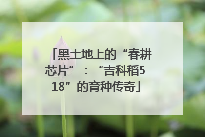 黑土地上的“春耕芯片”：“吉科稻518”的育种传奇