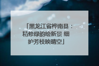黑龙江省桦南县：精修绿韵绘新景 细护芳枝映晴空