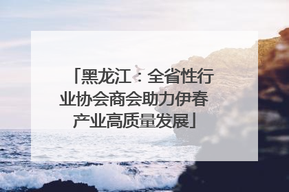 黑龙江：全省性行业协会商会助力伊春产业高质量发展