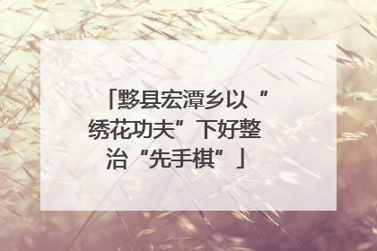 黟县宏潭乡以“绣花功夫”下好整治“先手棋”