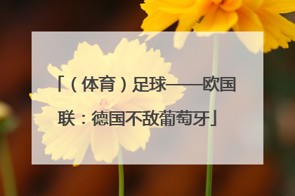 （体育）足球——欧国联：德国不敌葡萄牙