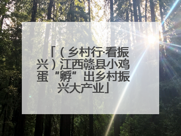 （乡村行·看振兴）江西赣县小鸡蛋“孵”出乡村振兴大产业