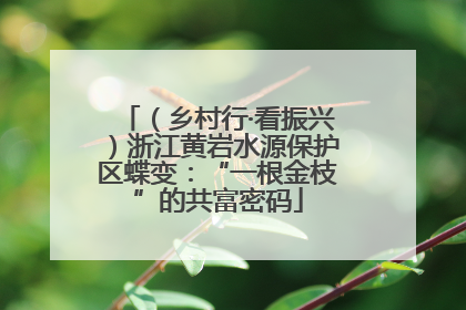 （乡村行·看振兴）浙江黄岩水源保护区蝶变：“一根金枝”的共富密码