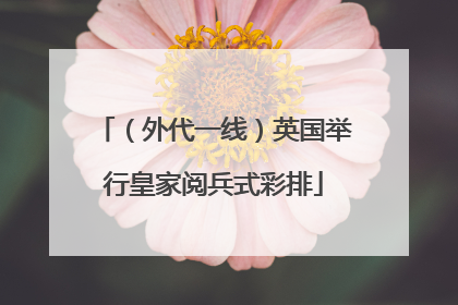 （外代一线）英国举行皇家阅兵式彩排