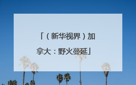 （新华视界）加拿大：野火蔓延