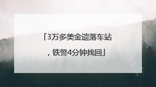 3万多美金遗落车站，铁警4分钟找回