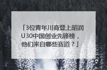 3位青年川商登上胡润U30中国创业先锋榜，他们来自哪些赛道？