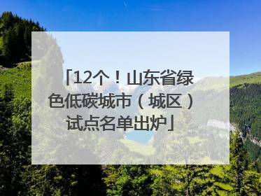12个！山东省绿色低碳城市（城区）试点名单出炉
