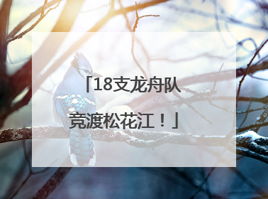 18支龙舟队竞渡松花江！