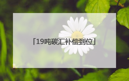 19吨碳汇补偿到位