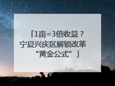 1亩=3倍收益？宁夏兴庆区解锁改革“黄金公式”
