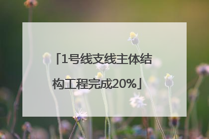 1号线支线主体结构工程完成20%