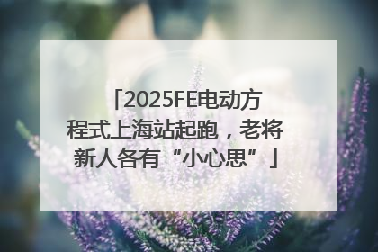2025FE电动方程式上海站起跑，老将新人各有“小心思”