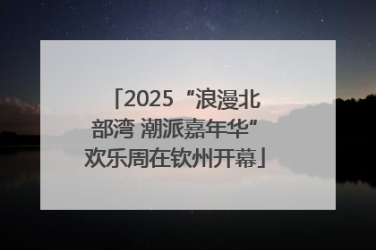 2025“浪漫北部湾 潮派嘉年华”欢乐周在钦州开幕